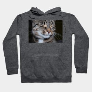 smiling cat Hoodie